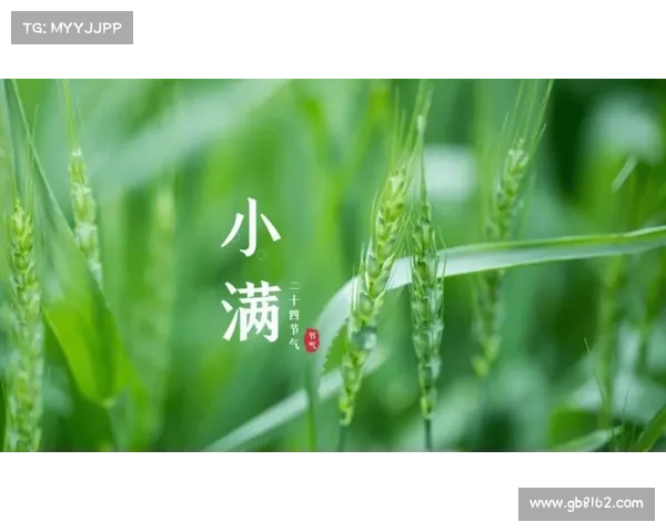 感悟小满节气的自然馈赠与丰盈和谐美学之旅 感悟小满节气的自然馈赠与丰盈和谐美学之旅